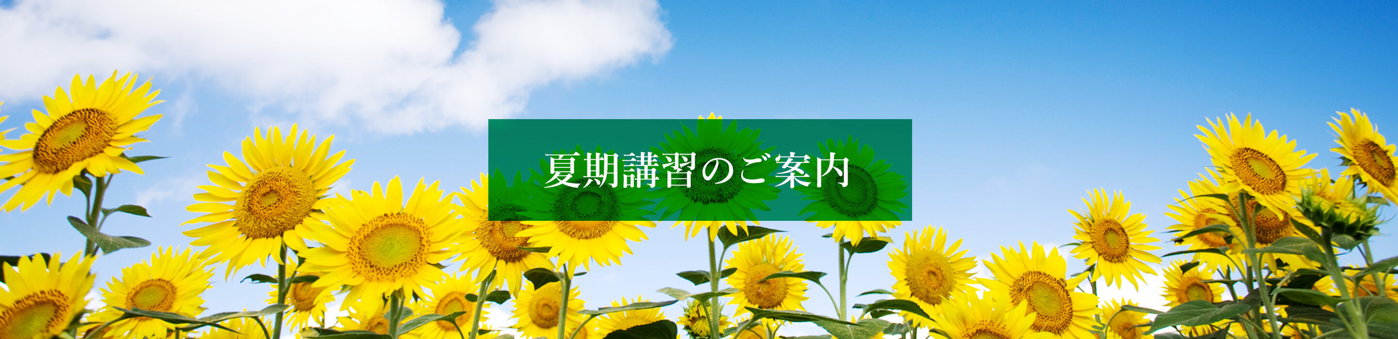 授業のご案内　夏期講習